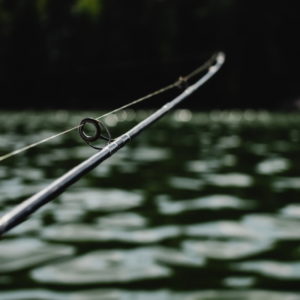 freestock - fishing pole - profile