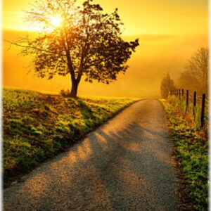 Idyllic rural landscape on a hill with a tree on a meadow at sunrise, a path leads into the warm gold light