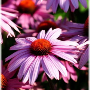 freestock - floral2