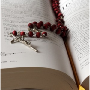 freestock rosary & bible