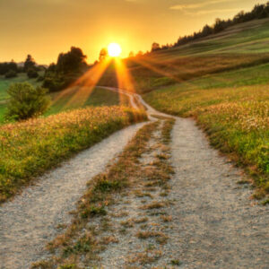 Idyllic sunset on dusty road in countryside